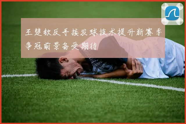 王楚钦反手接发球技术提升新赛季争冠前景备受期待